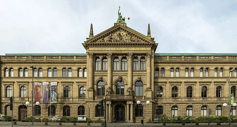 800px-Museum_König,_Gesamtansicht.jpg