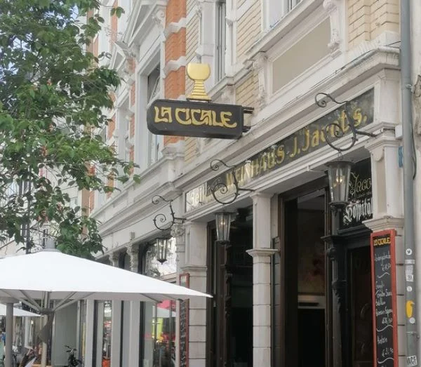 cigale.JPG