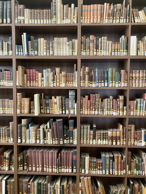 Bibliothek Romanistik_Bücher.jpg