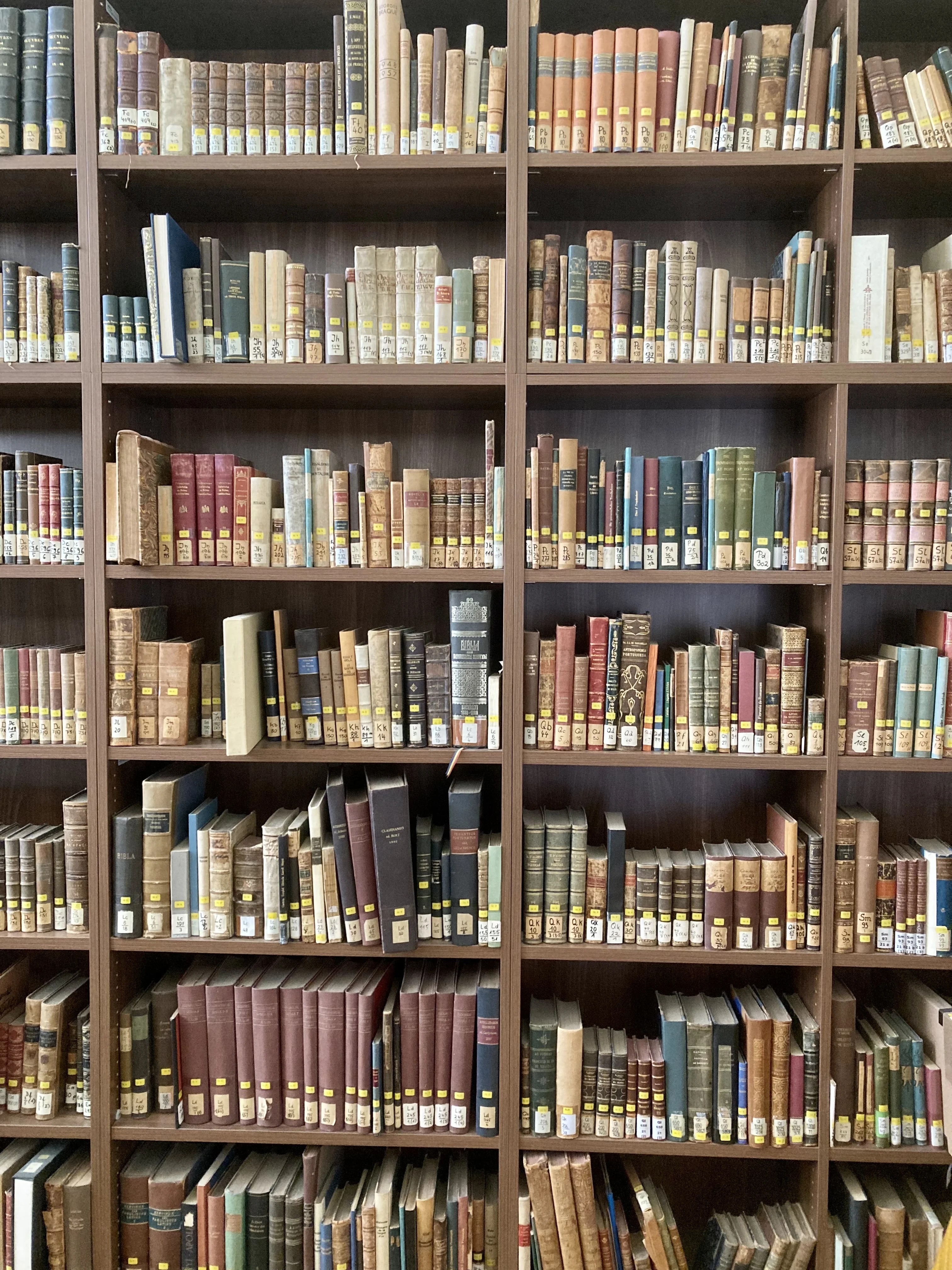 Bibliothek Romanistik_Bücher.jpg