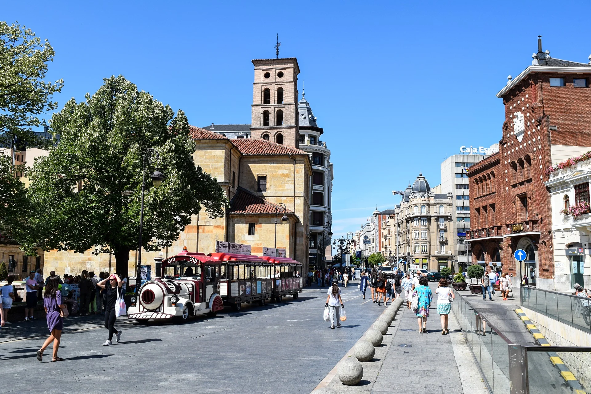 leon-2727151_1920.jpg