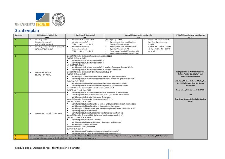 Studienverlaufsplan B.A. DIS